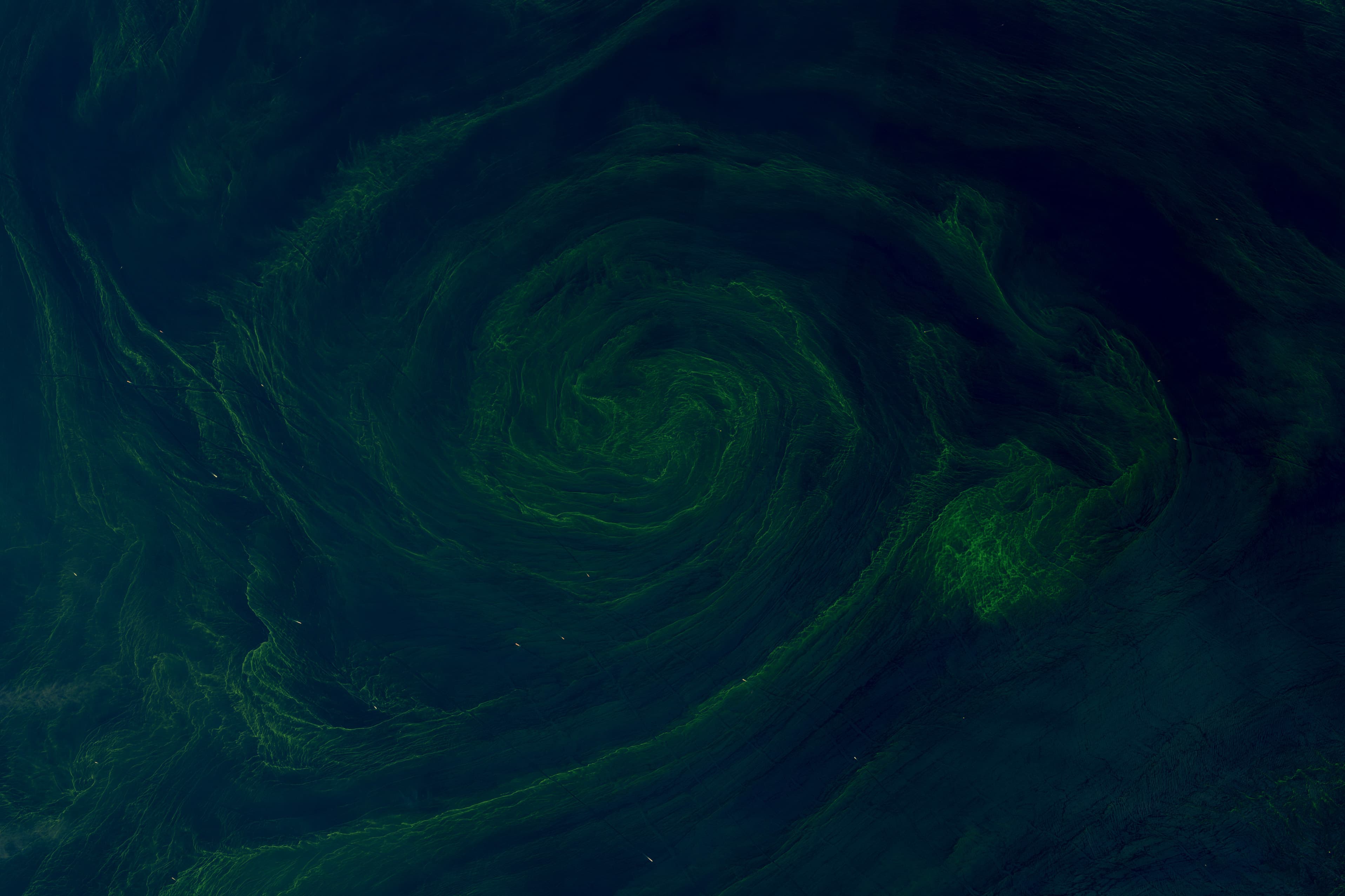 Satellite view of the Gulf of Oman, the funnel of water that feeds the Strait of Hormuz between Iran and the Arabian Peninsula